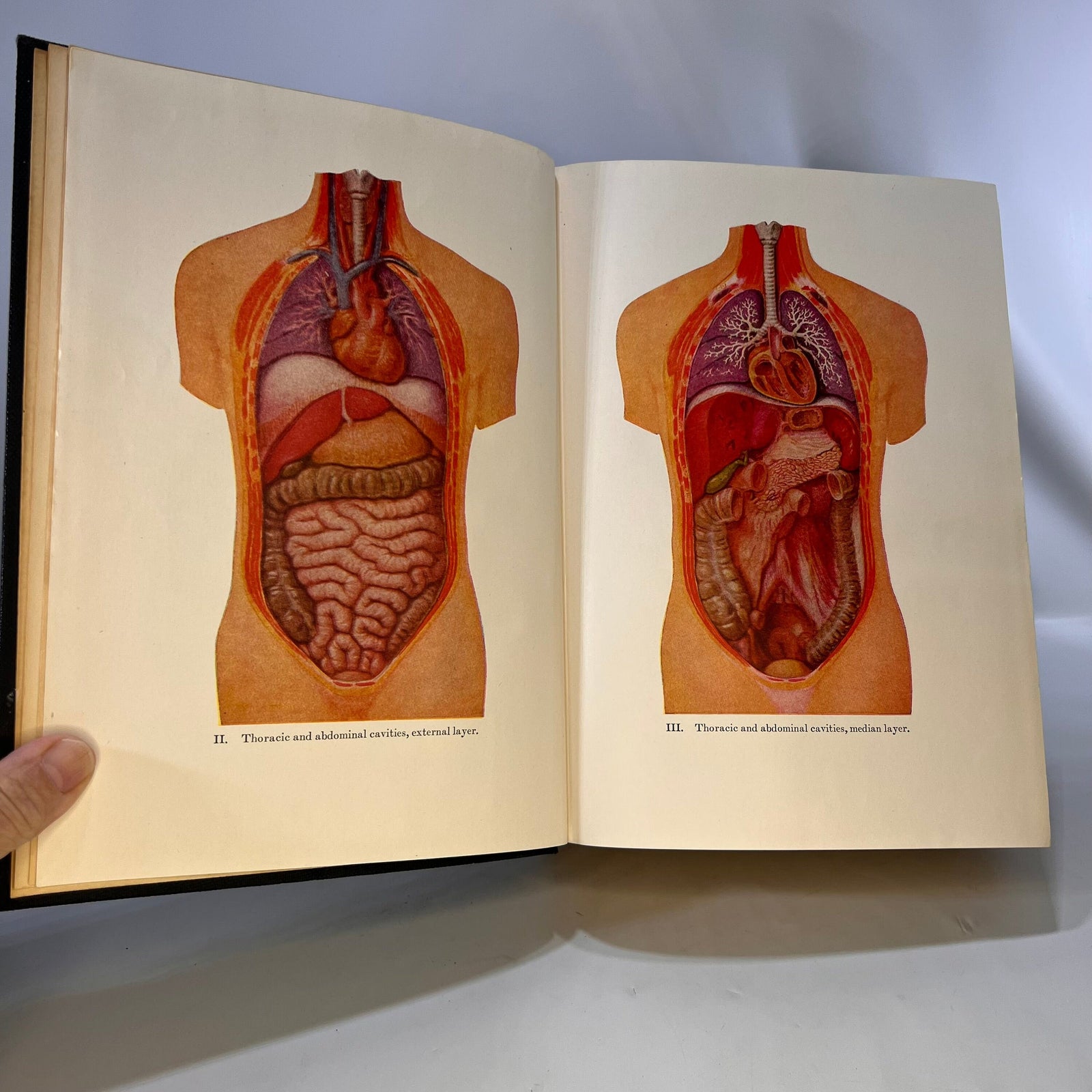 Modern Home Medical Advisor Your Health and How to Preserve it Advisor edited by Morris Fishbein 1942 Doubleday Doran & Co Vintage Book