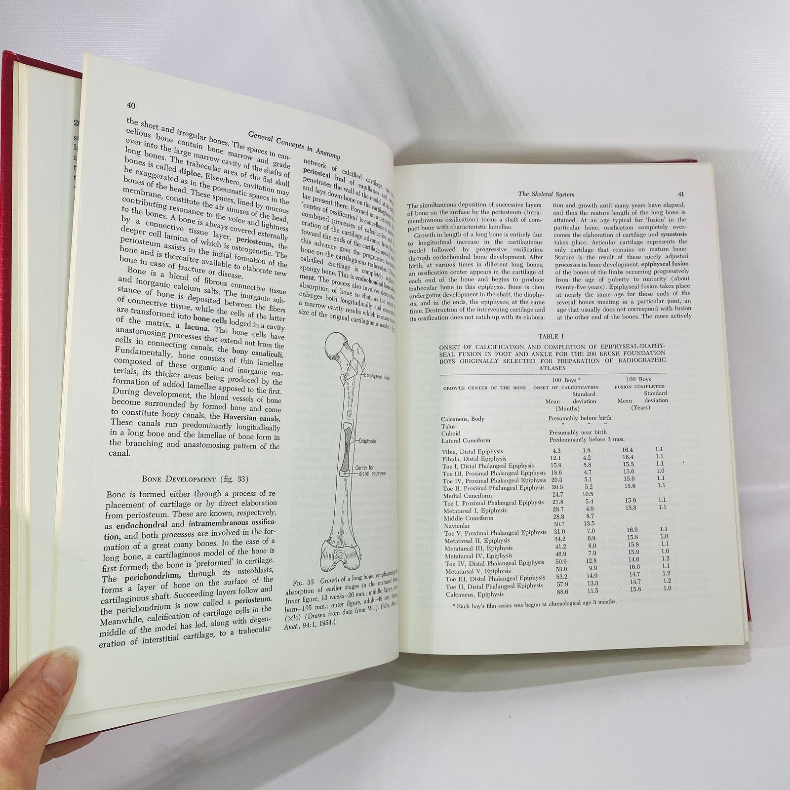 Essentials of Human Anatomy by Russell Woodburne 1957 Oxford University Press Vintage Book