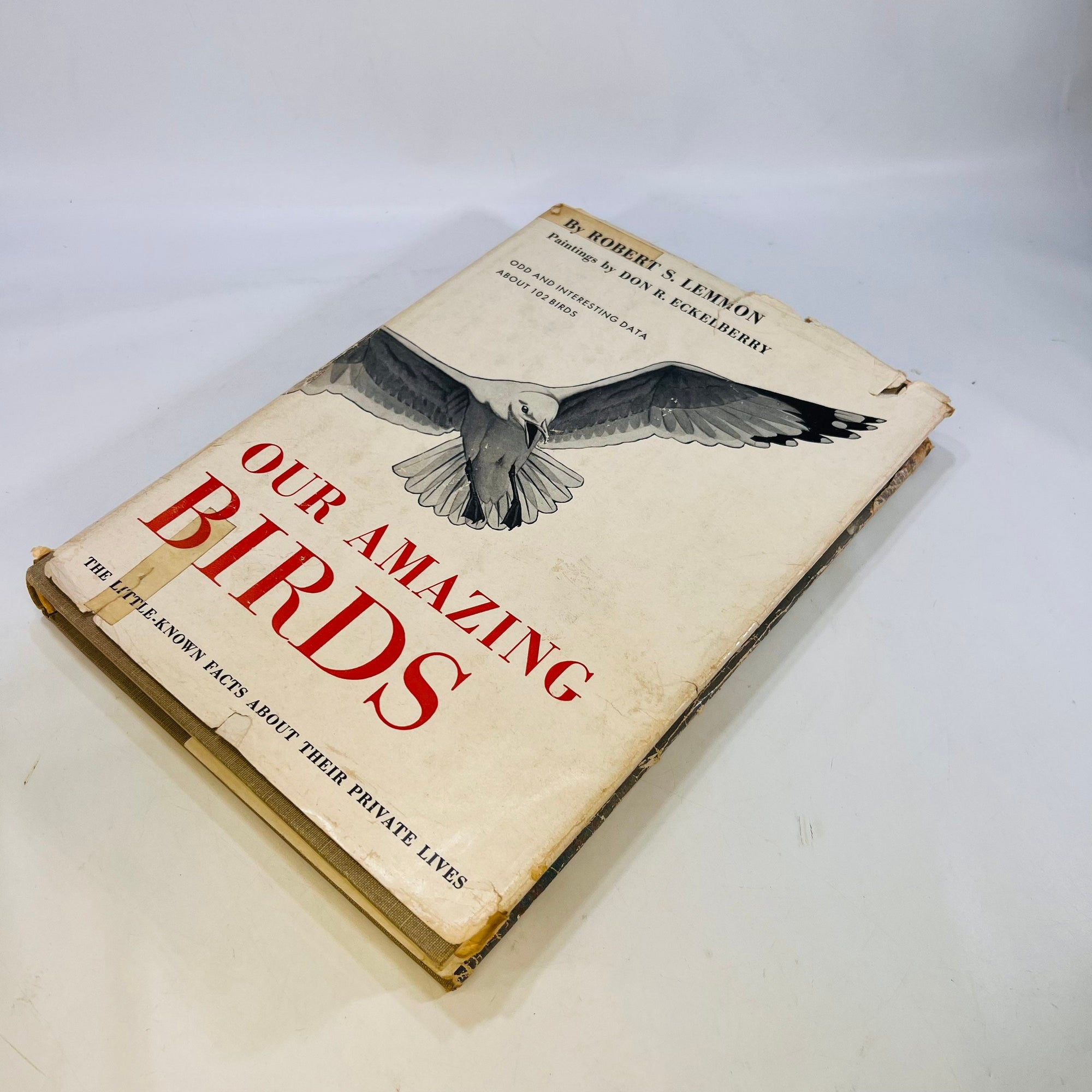 Our Amazing Birds little known facts about their private lives by Robert S. Lemon 1952 Odd and Interesting Data of 102 Birds Double Day Pub