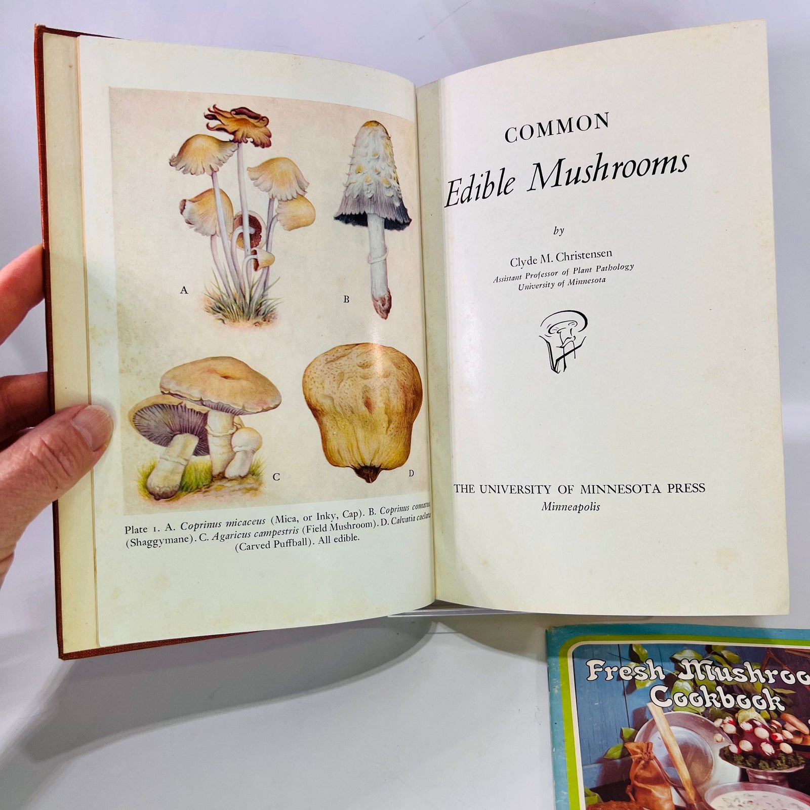 Common Edible Mushrooms by Clyde M. Christensen  1943 Land Press Inc Bonus: Fresh Mushroom Cookbook  Vintage Cookbook