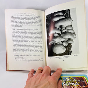 Common Edible Mushrooms by Clyde M. Christensen  1943 Land Press Inc Bonus: Fresh Mushroom Cookbook  Vintage Cookbook