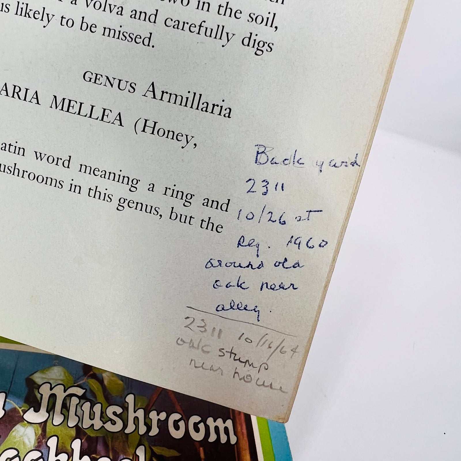 Common Edible Mushrooms by Clyde M. Christensen  1943 Land Press Inc Bonus: Fresh Mushroom Cookbook  Vintage Cookbook