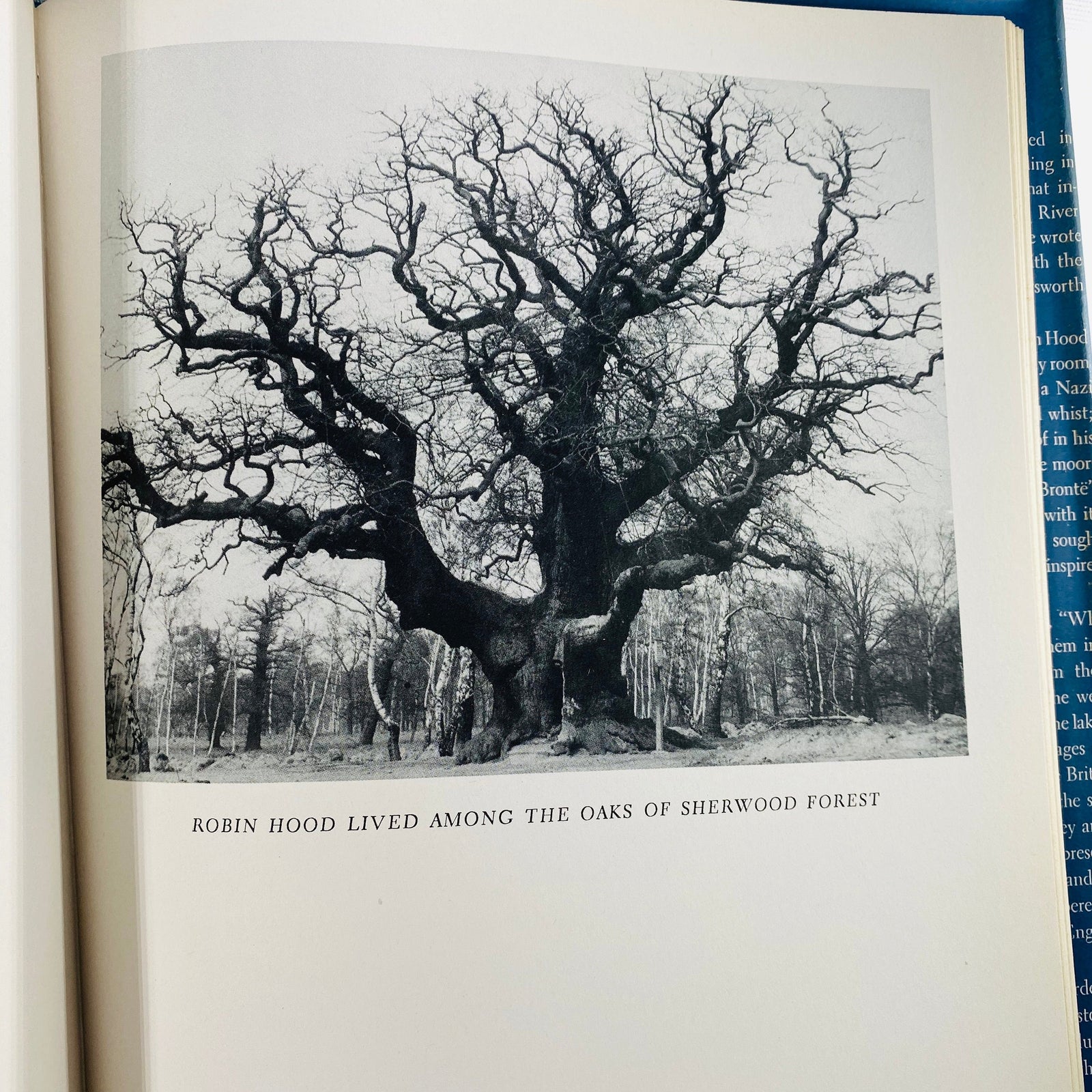 Literary England by David Scherman 1944 Vintage Book