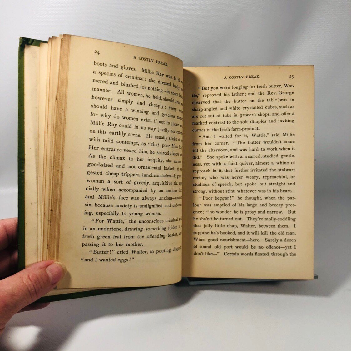 A Costly Freak by Maxwell Gray 1894 A First Edition Book