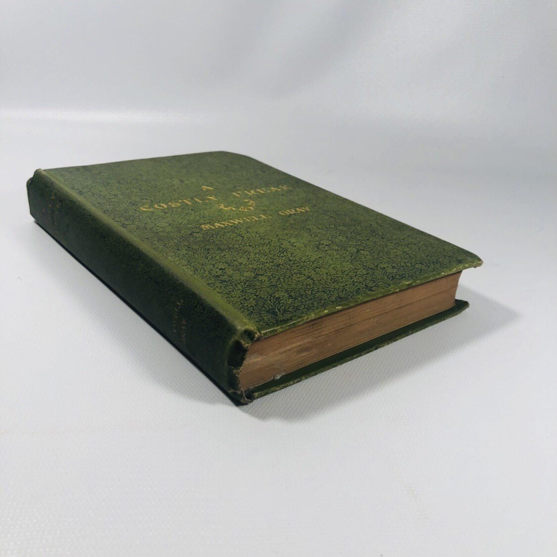 A Costly Freak by Maxwell Gray 1894 A First Edition Book