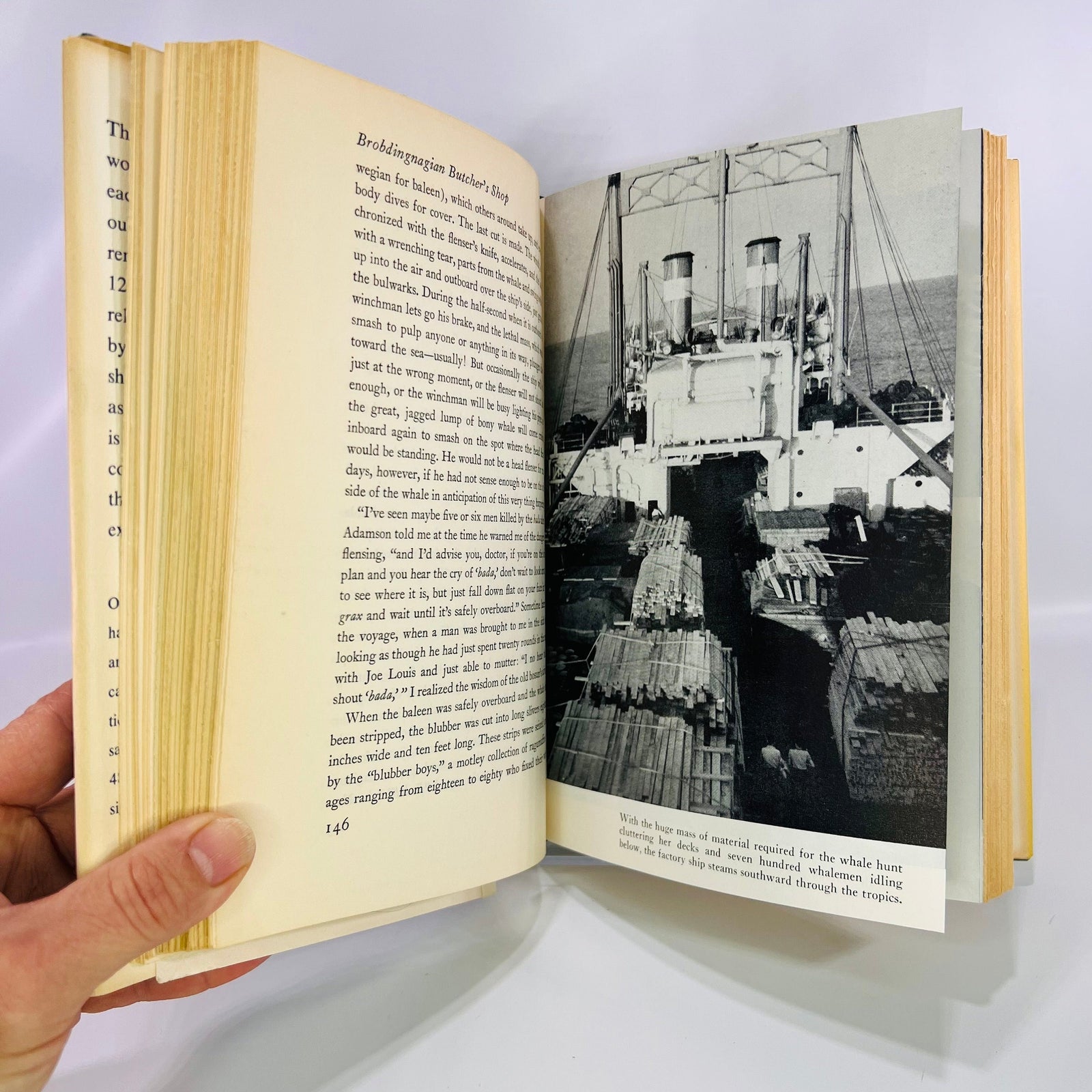 Of Whales and Men by R.B . Robertson 1954 Alfred A. Knopf Vintage Book