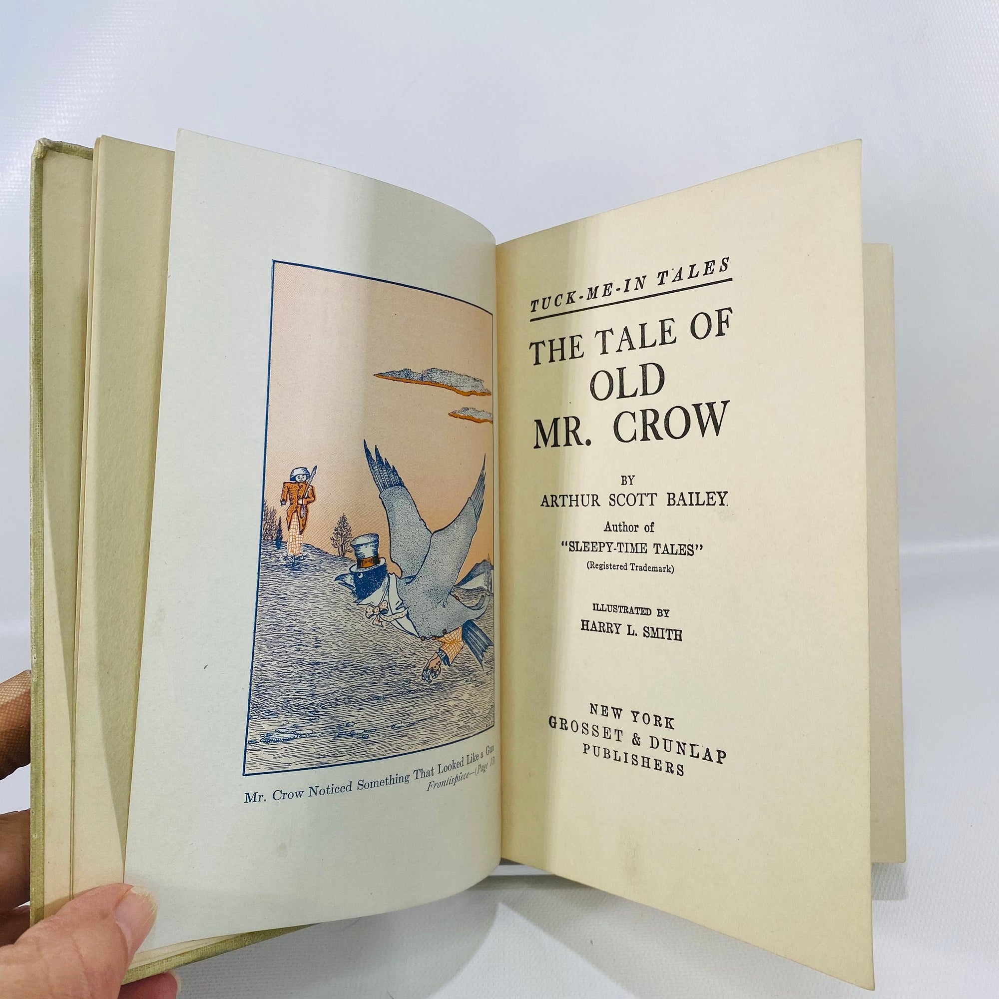The Tale of Old Mr. Crow by Arthur Scott Bailey 1917 Grosset & Dunlap PublishersVintage Book