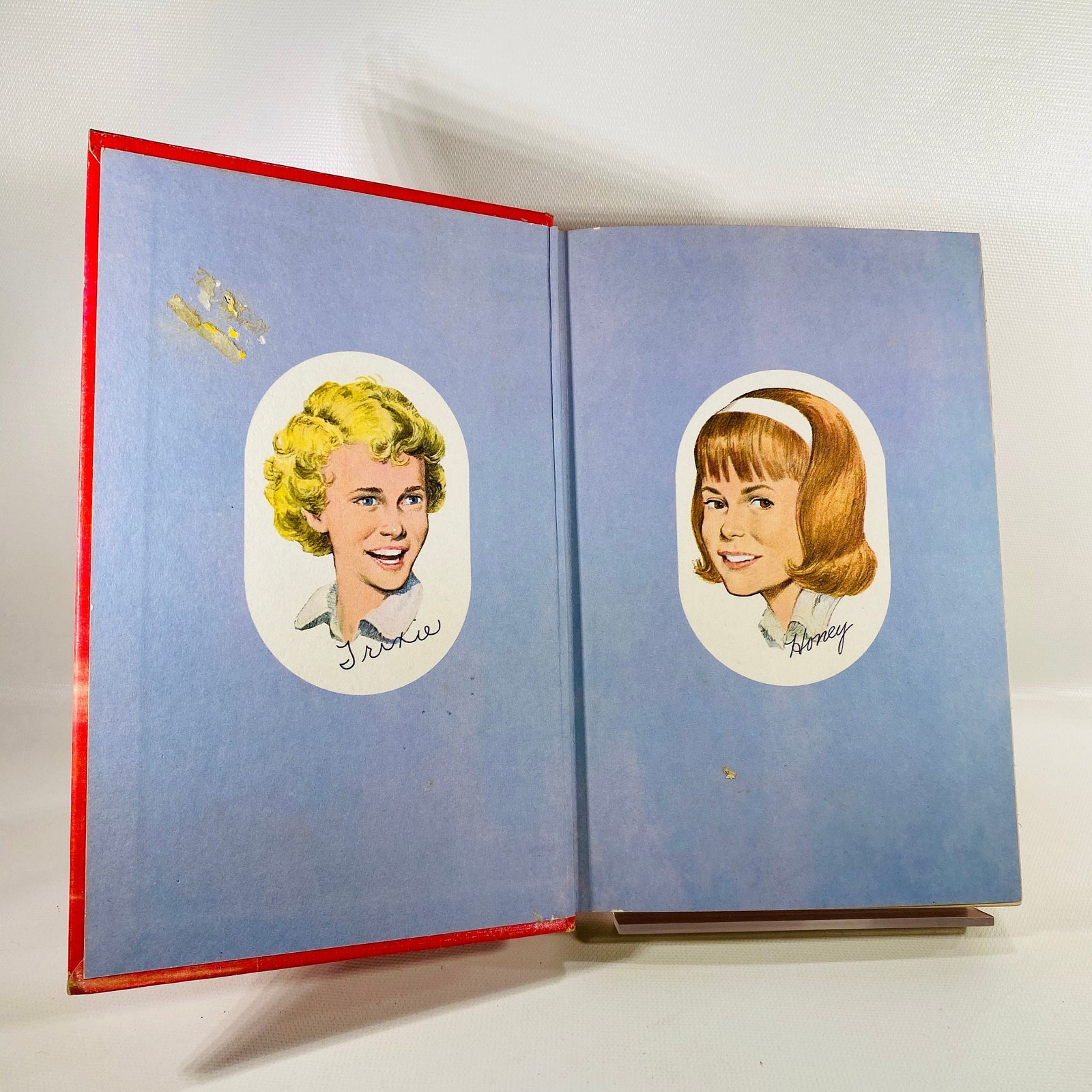 Trixie Belden and the Mysterious Visitor by Julie Cambell 1954 Vintage Book