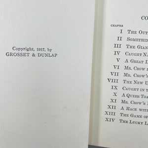 The Tale of Old Mr. Crow by Arthur Scott Bailey 1917 Grosset & Dunlap PublishersVintage Book