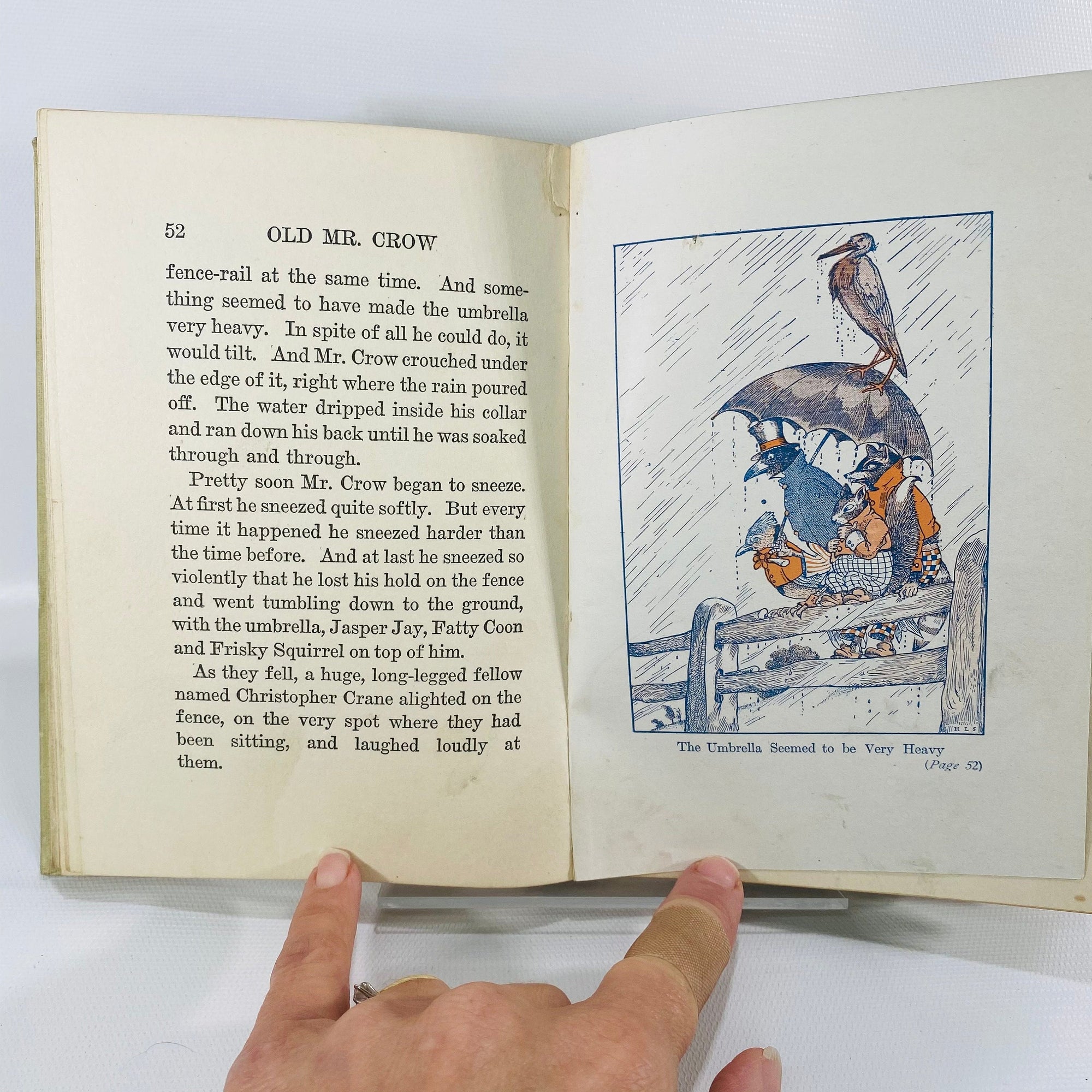 The Tale of Old Mr. Crow by Arthur Scott Bailey 1917 Grosset & Dunlap PublishersVintage Book