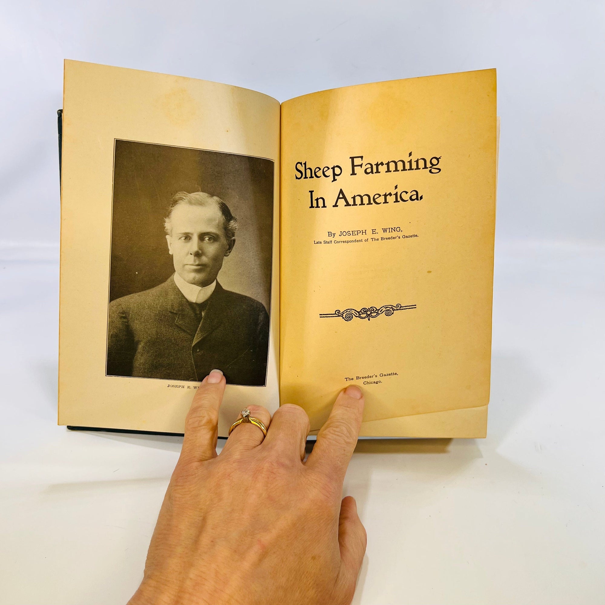 Sheep Farming in America by Joseph E. Wing 1912 Saunders Publishing Company