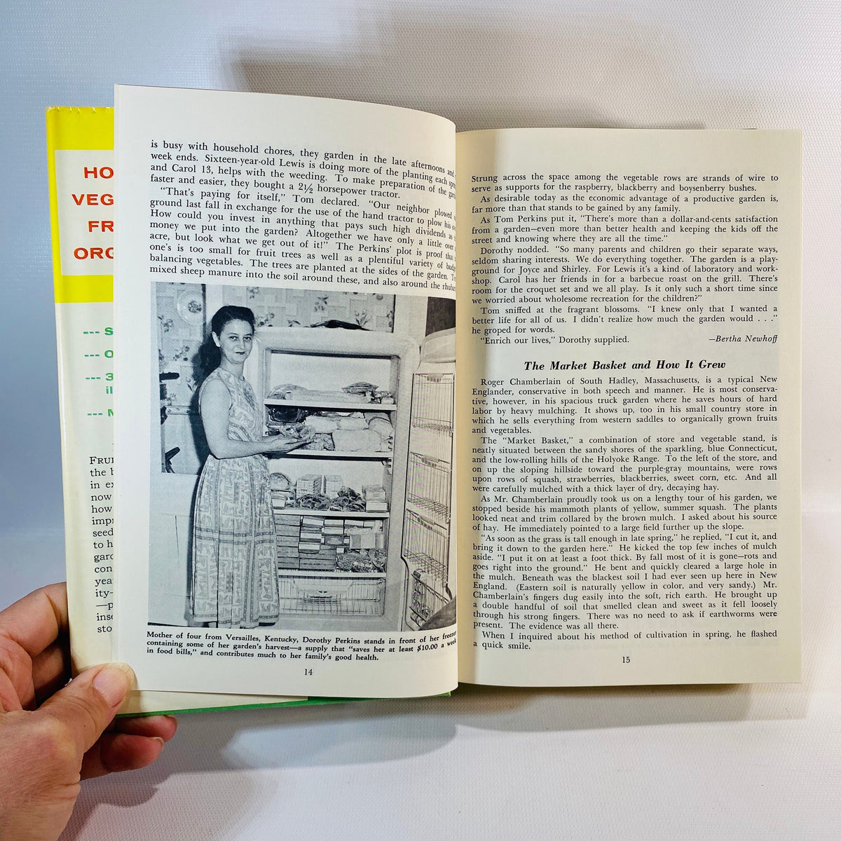 How to Grow Vegetables & Fruits by the Organic Method by J.I. Rodale 1961