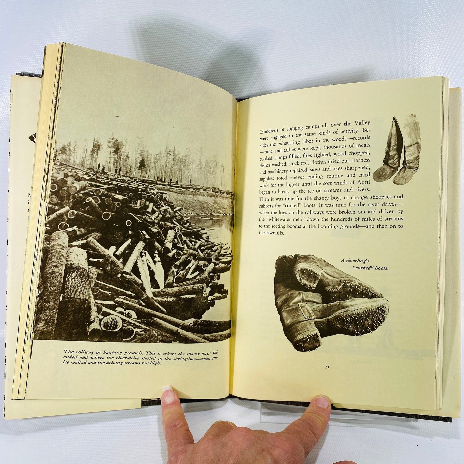 The Story of Logging the White Pine in the Saginaw Valley by Harold Foehl 1969 Vintage Book