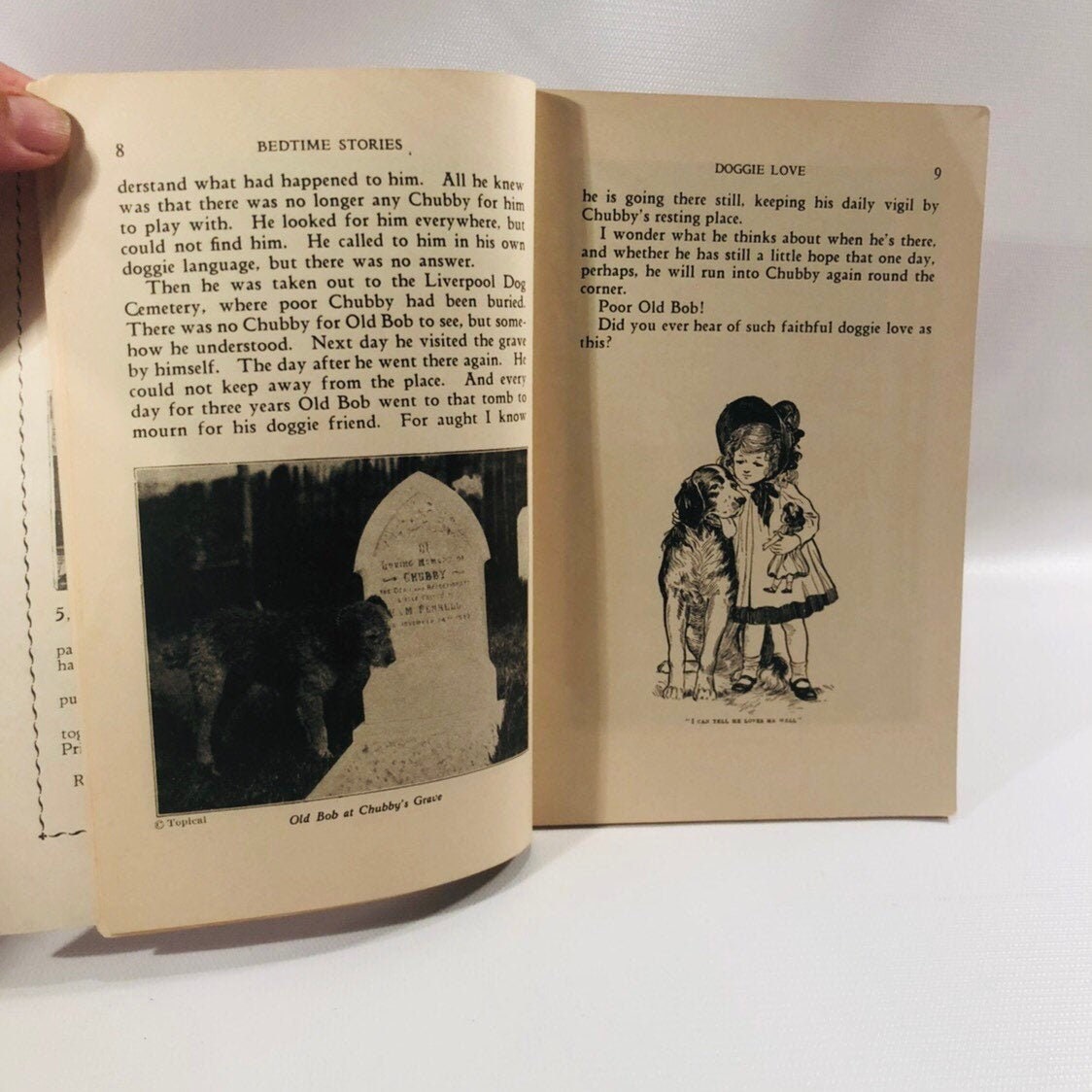 Doggie Love story with the Old Bob at Chubby's Grave photo, Bedtime Stories Eighth Series