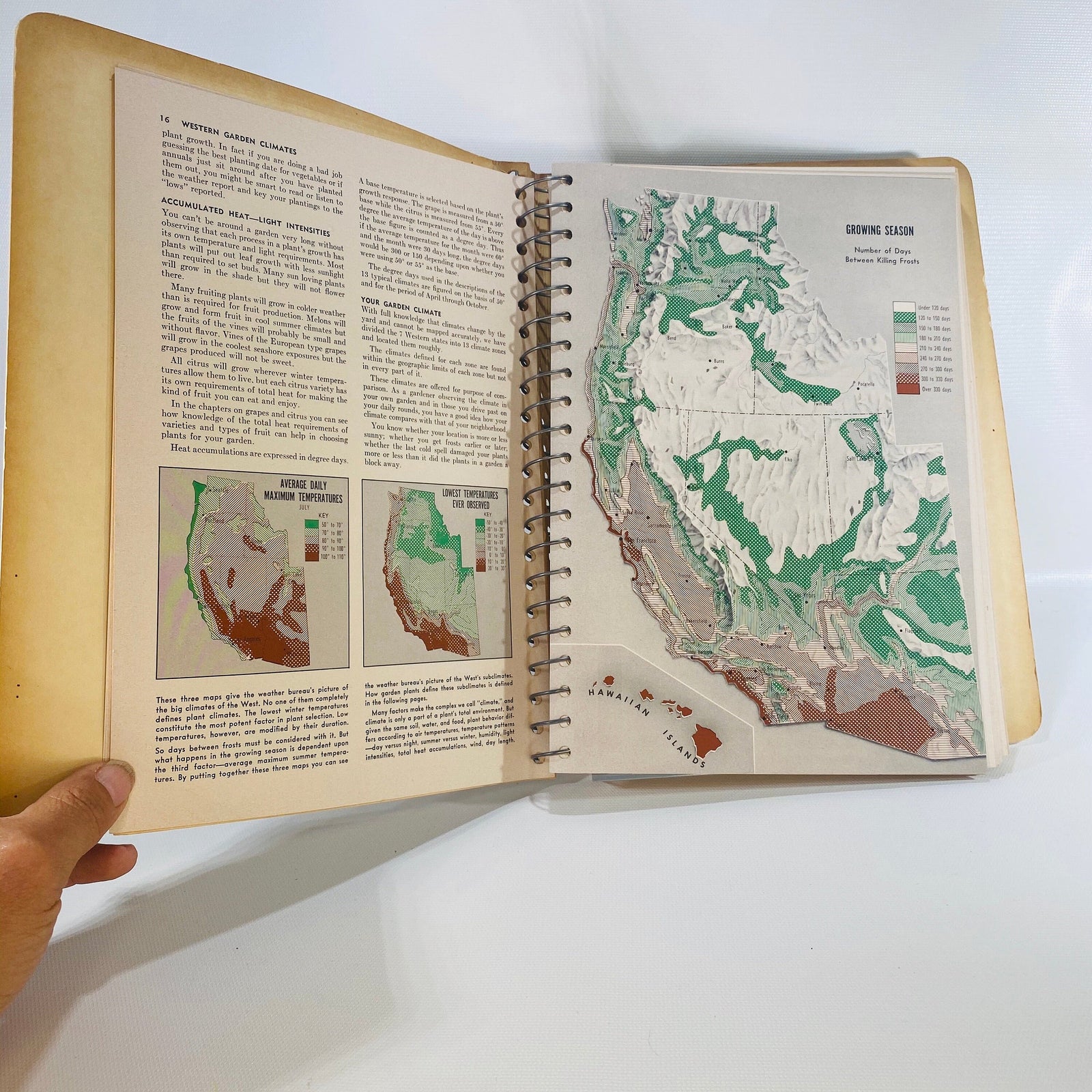 Sunset Western Garden Book by the Editorial Staff of Lane Publishing Co. 1954