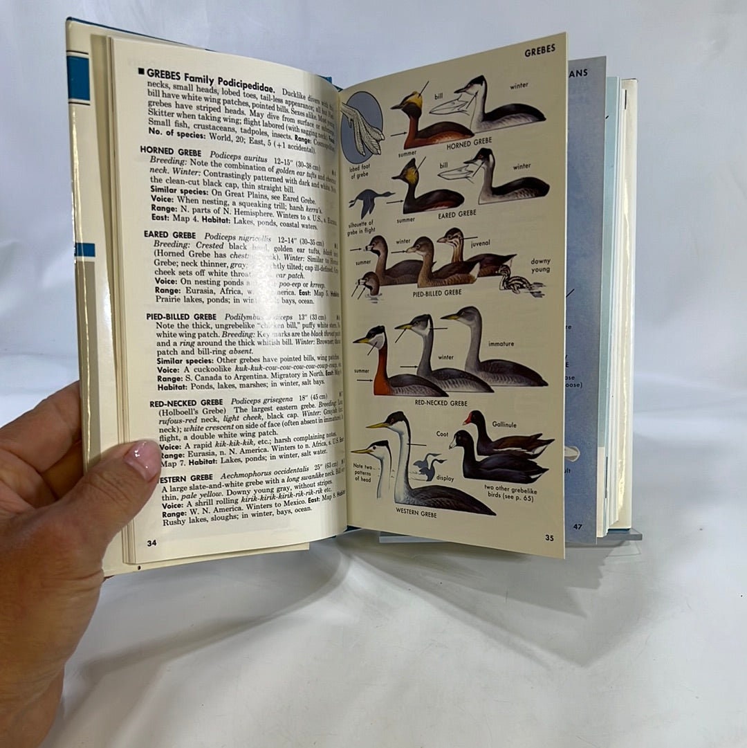 A Field Guide to the Birds East of the Rockys by Roger Peterson  1980