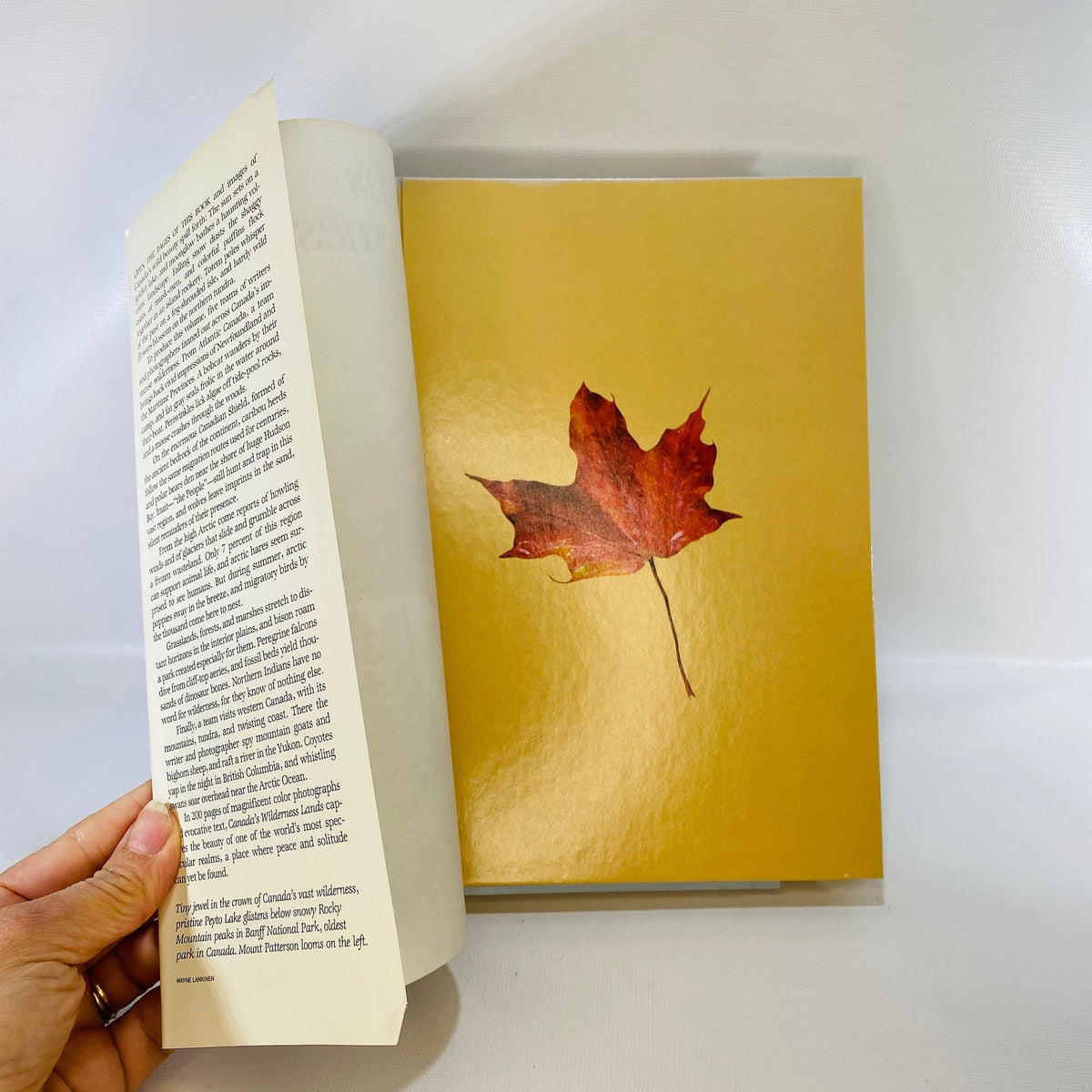 Canada's Wilderness Lands by National Geographic Society 1982