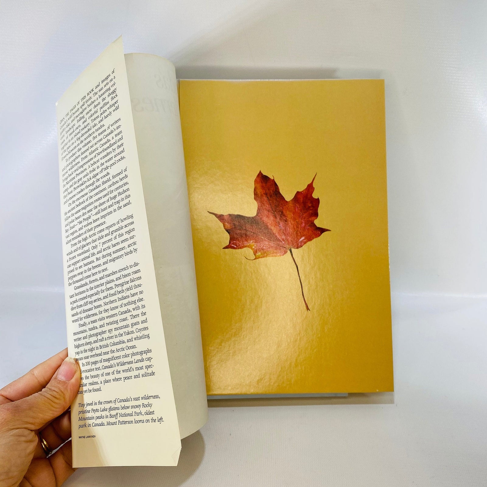 Canada's Wilderness Lands by National Geographic Society 1982