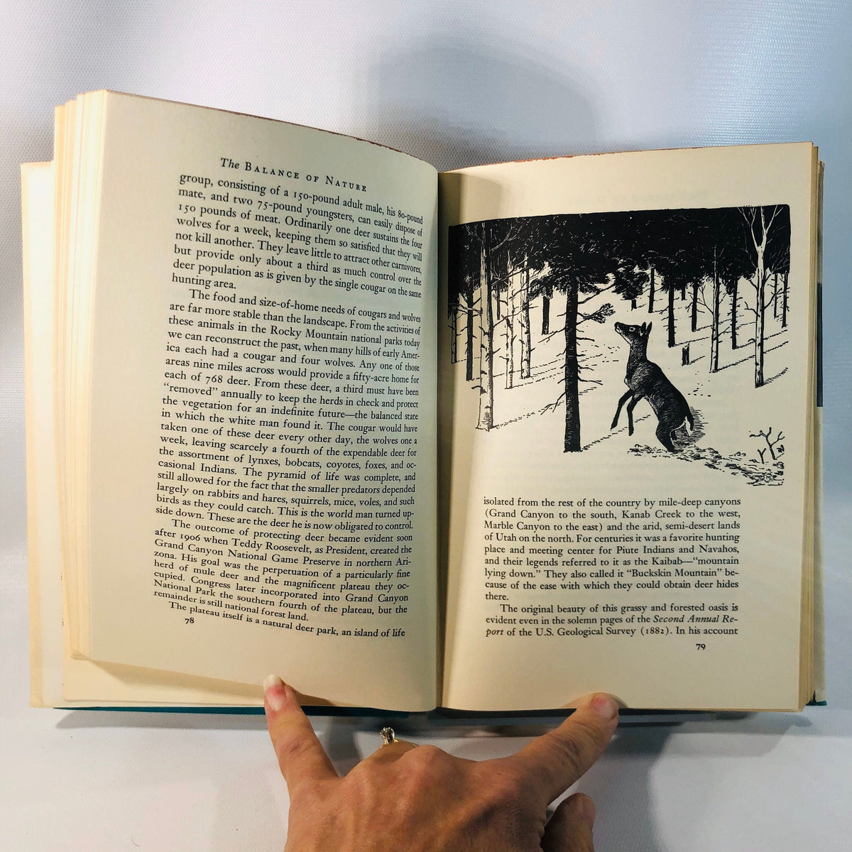 The Balance of Nature by Lorus and Margery Milne 1961