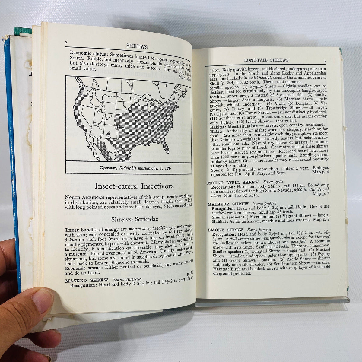 A Field Guide to the Mammals by William Burt 1964