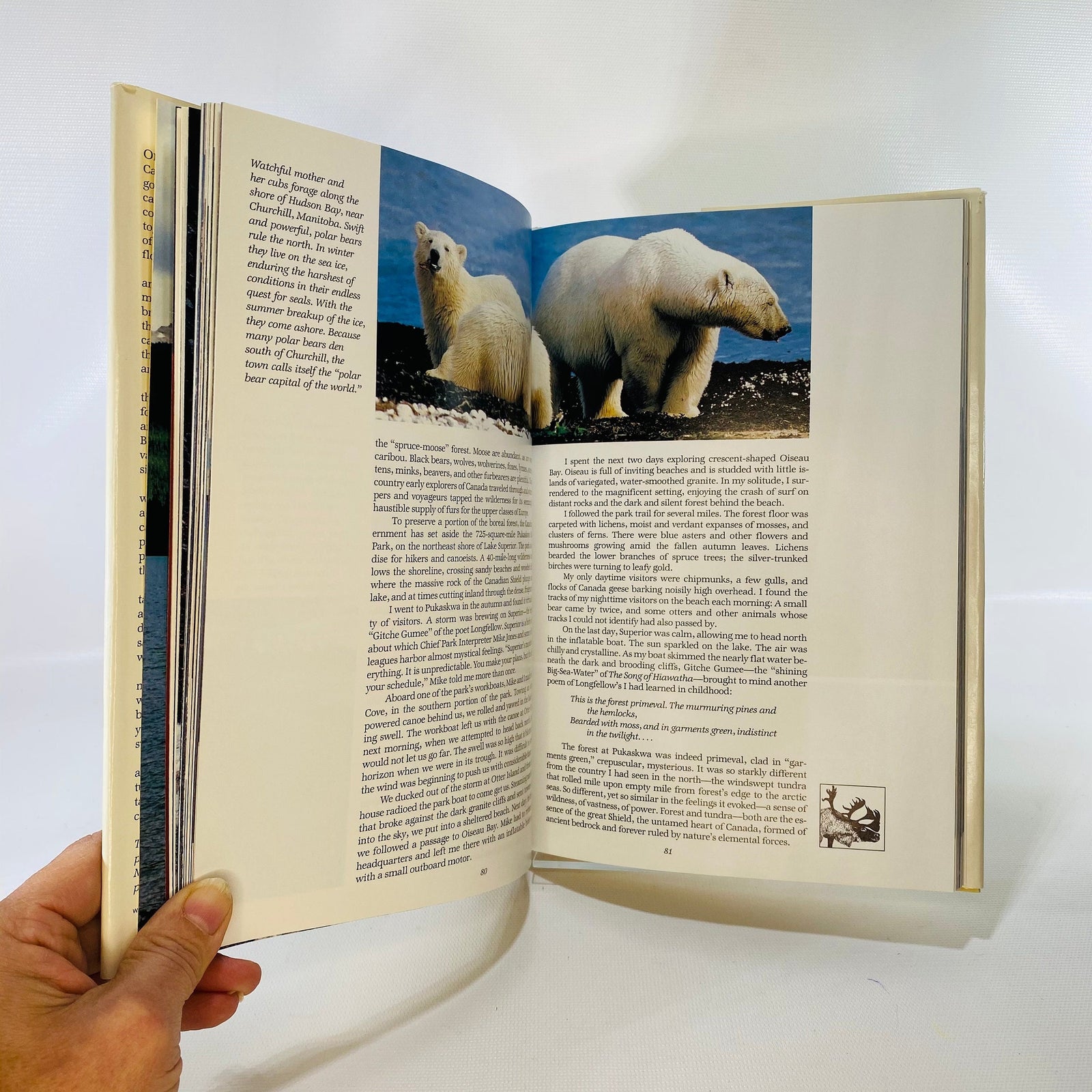 Canada's Wilderness Lands by National Geographic Society 1982