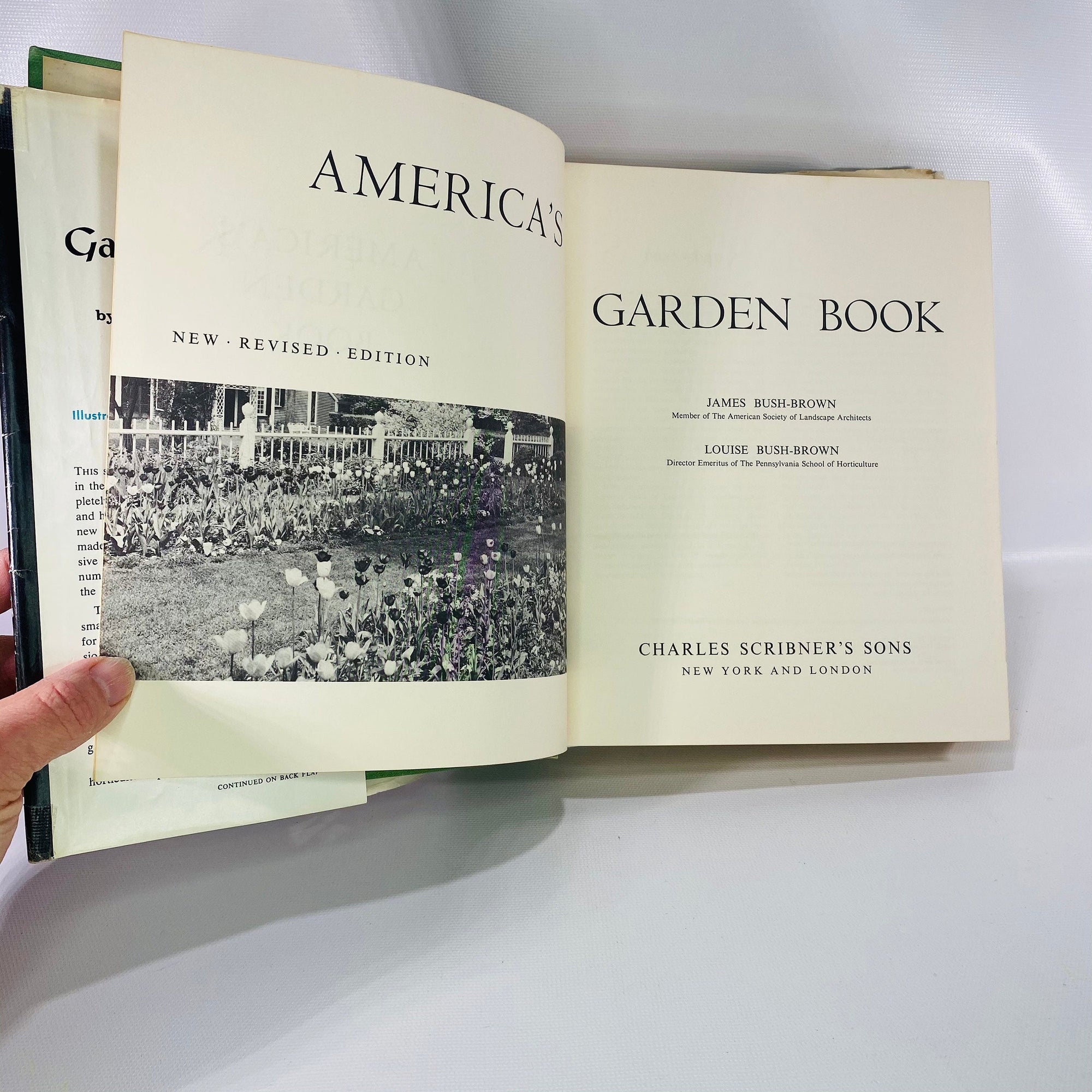 America's Garden Book by James & Louise Bush-Brown 1965 Charles Scribners Son's
