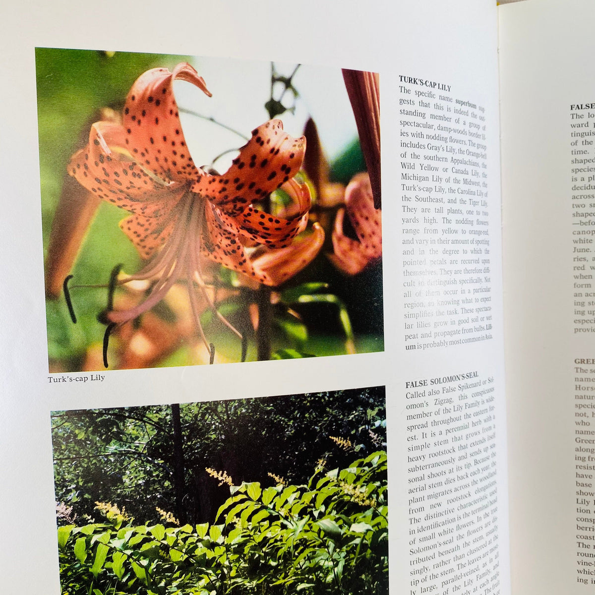 Hammond Nature Atlas of America by Roland Clement 1973