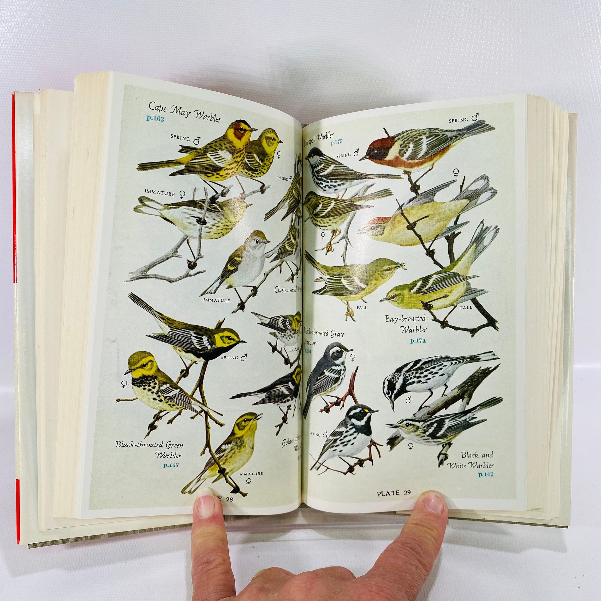 Audubon Land Bird Guide Birds of Eastern & Central North America by Richard Pough 1949