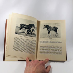 Horses of Britain by Lady Wentworth 1944 A Vintage Horse Book