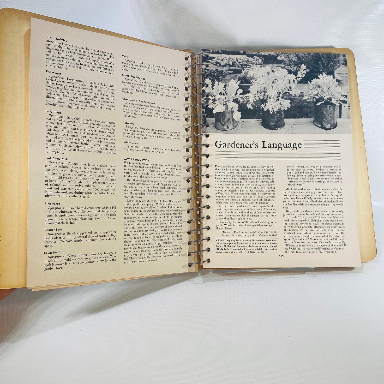 Sunset Western Garden Book by the Editorial Staff of Lane Publishing Co. 1954
