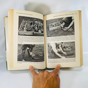 Plant Propagation in Pictures by Montague Free 1953 The American Gardening  Guild