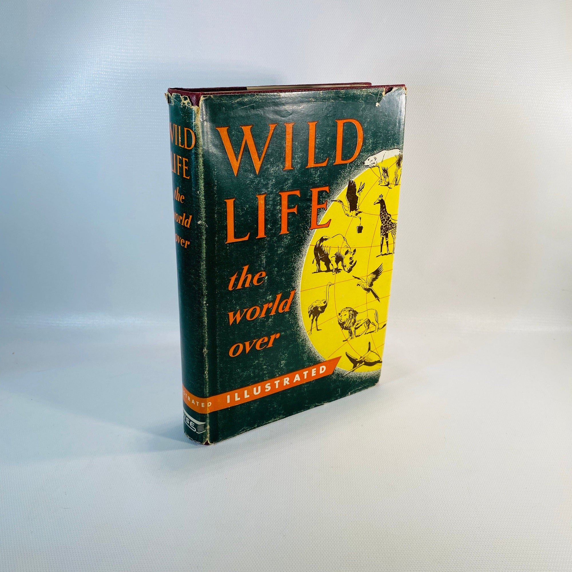 Wild Life the World Over written by 9 distinguished World-Traveled Specialists 1954
