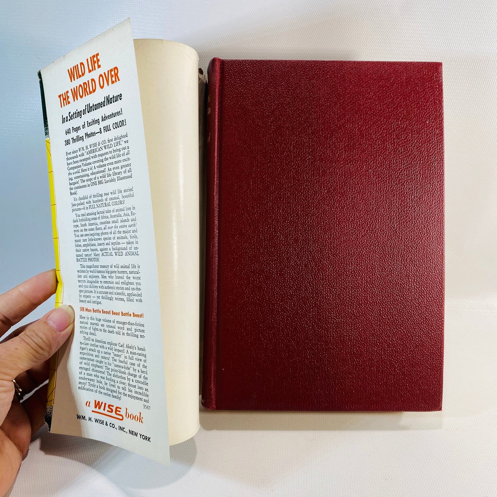 Wild Life the World Over written by 9 distinguished World-Traveled Specialists 1954