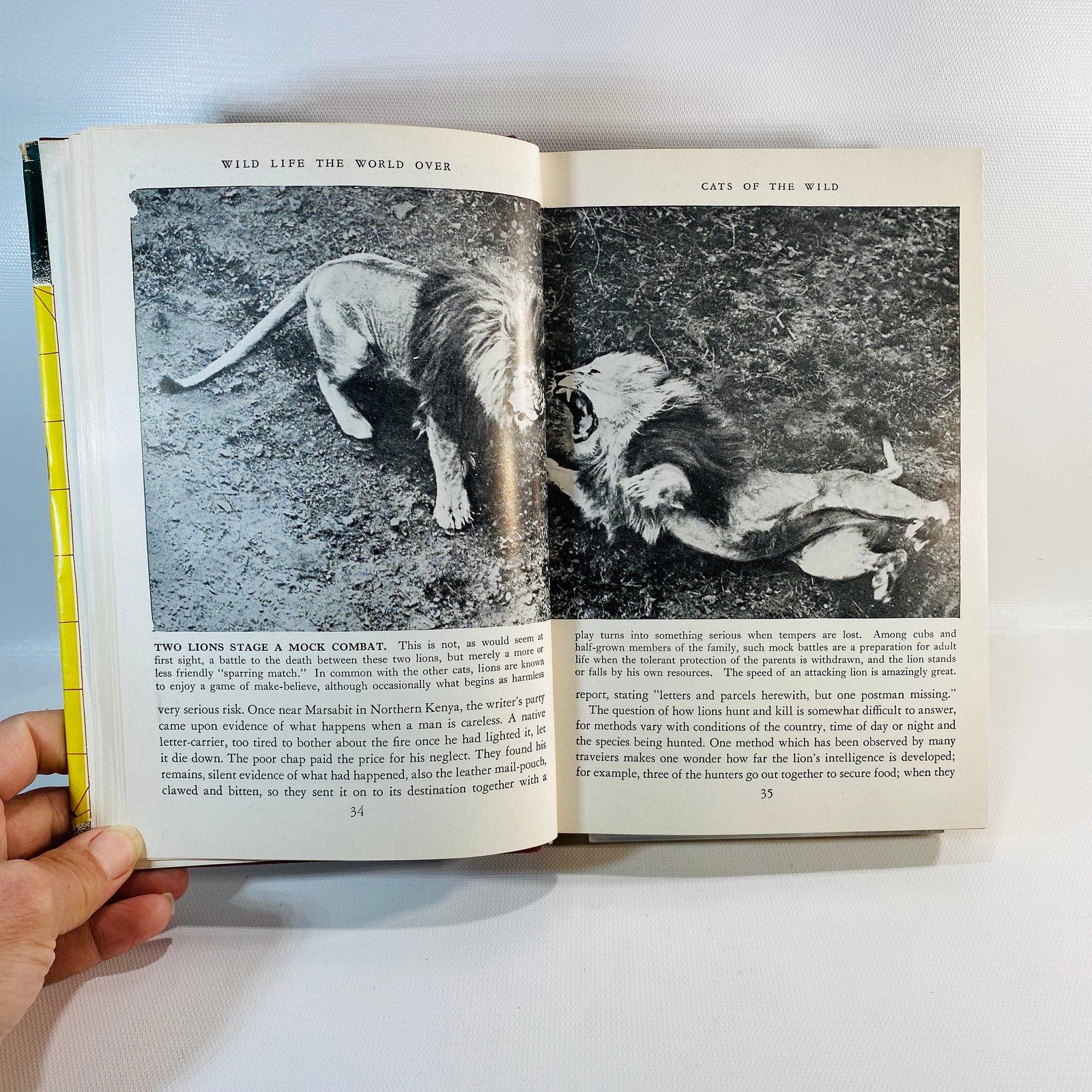 Wild Life the World Over written by 9 distinguished World-Traveled Specialists 1954