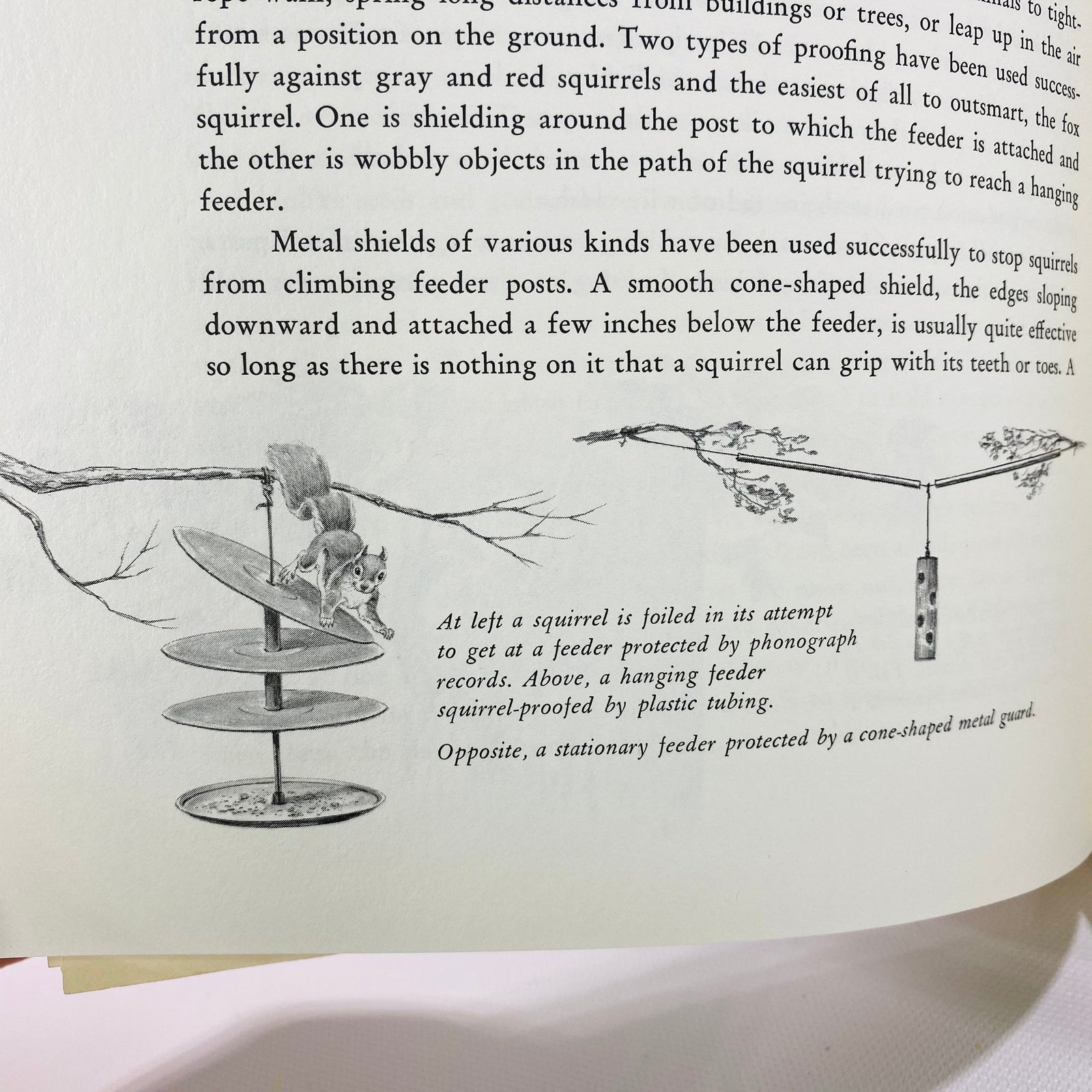 A Complete Guide to Bird Feeding by John Dennis 1975 Vintage Book