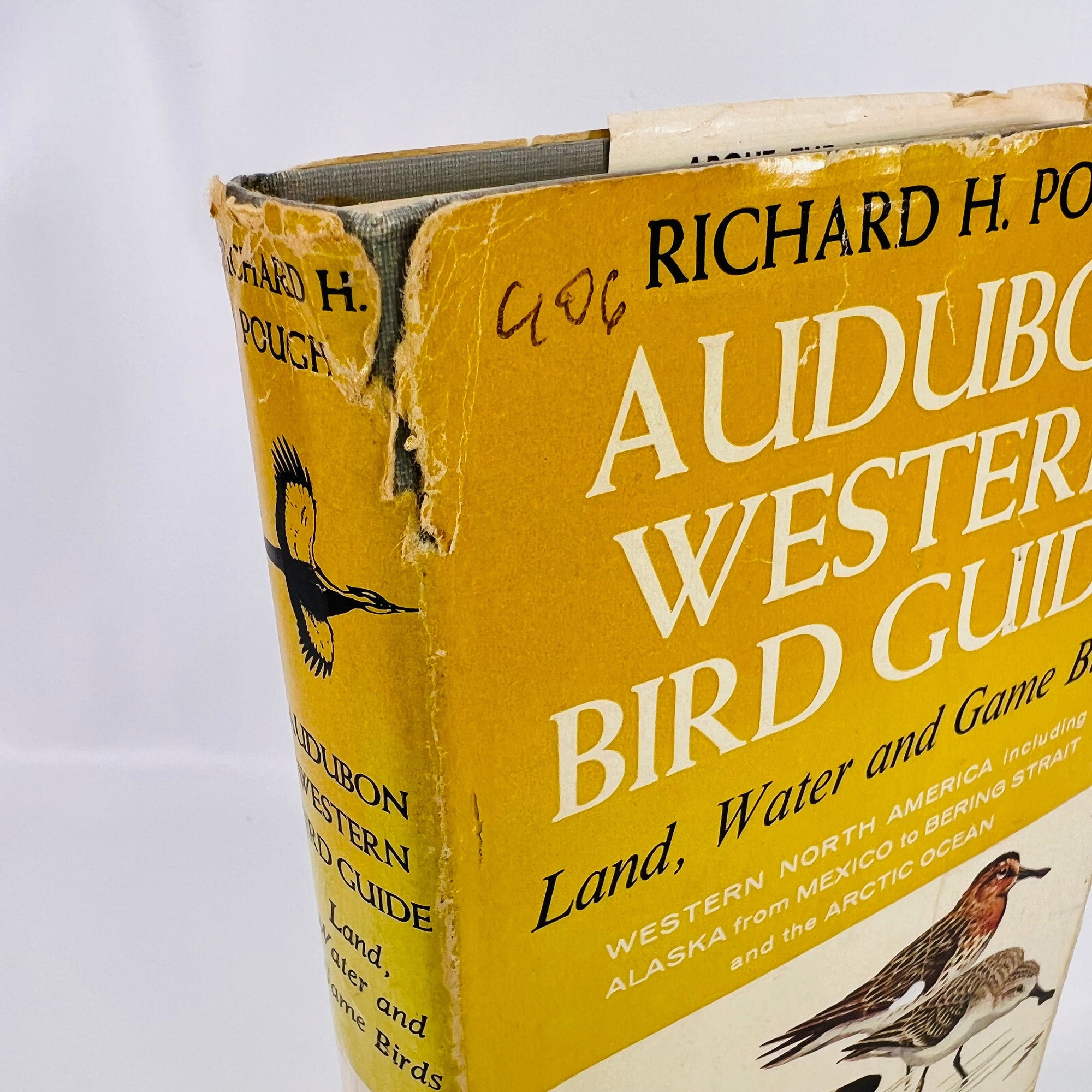 Audubon Western Bird Guide Land Water and Game Birds of Western North America from Mexico to the Arctic Ocean by Richard H. Pough 1957