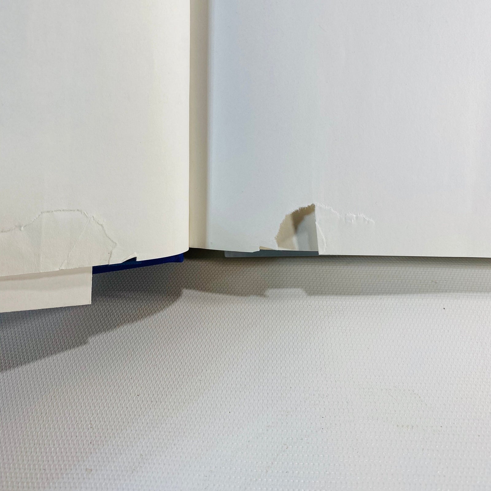 Birds of Panama with Costa Rica, Nicaragua, and Honduras by Robert Ridgely 1989 Vintage Book