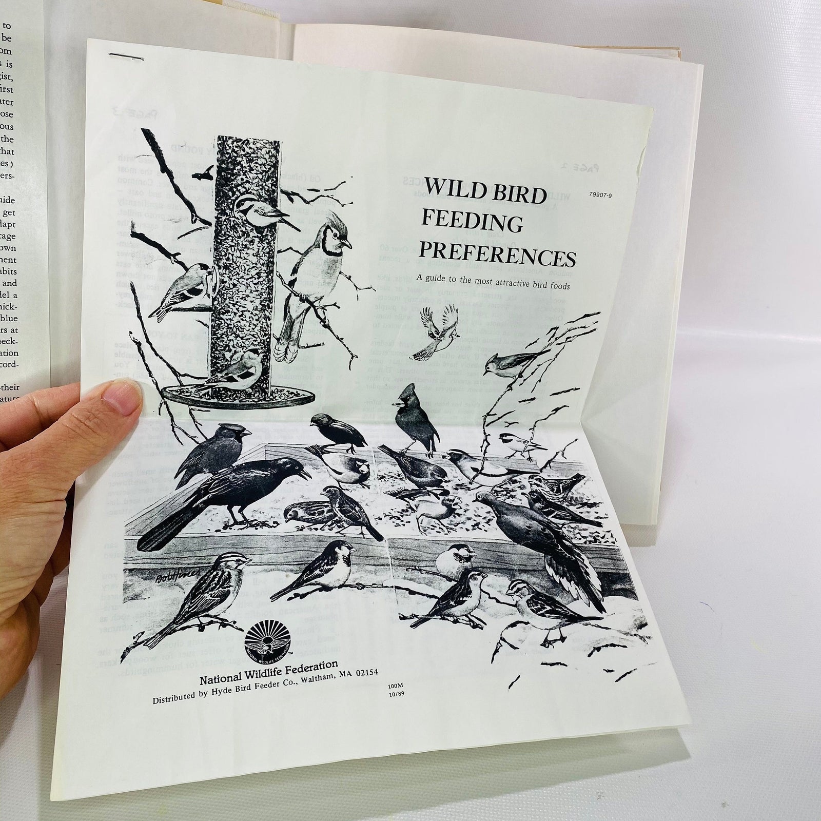 A Complete Guide to Bird Feeding by John Dennis 1975 Vintage Book