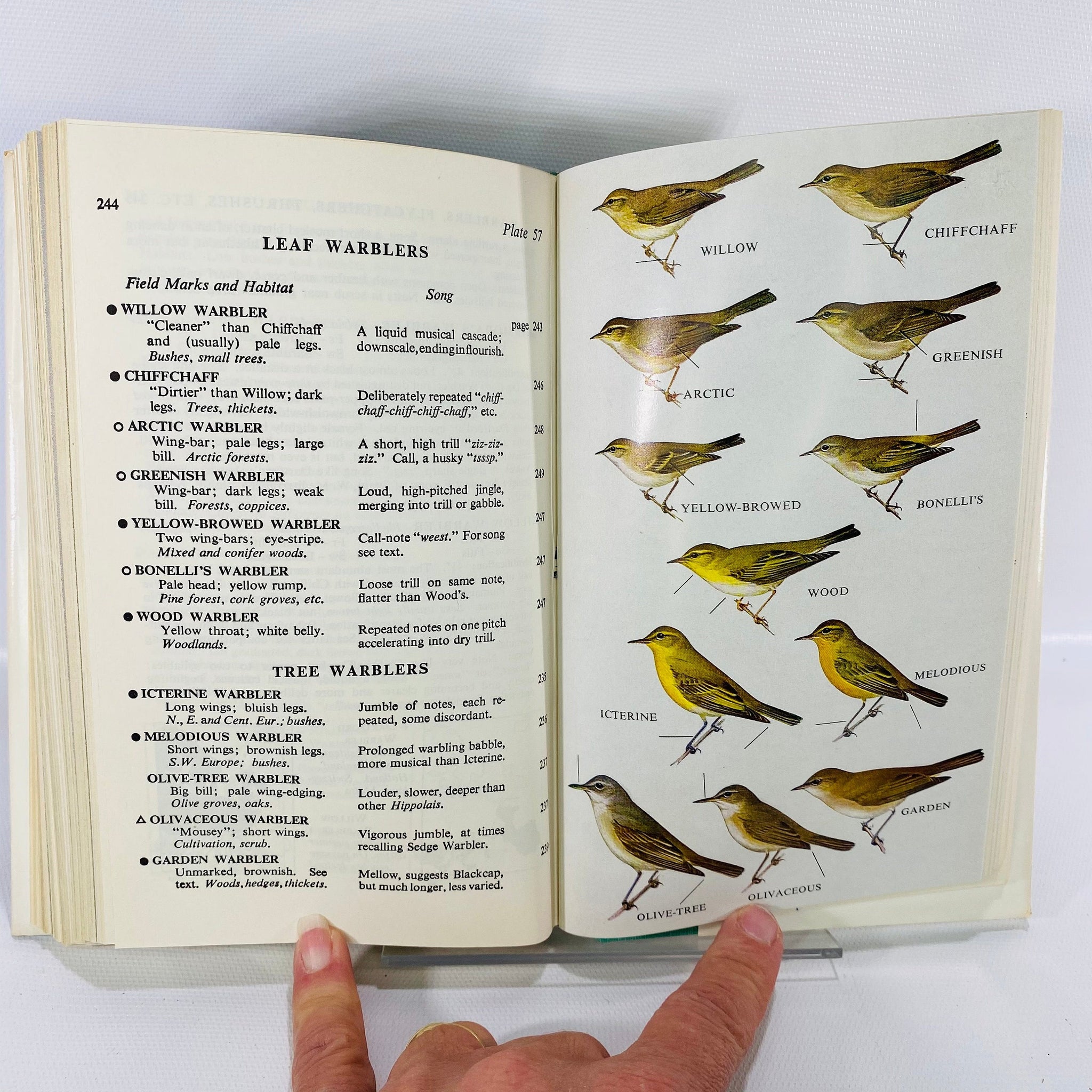 A Field Guide to the Birds of Britain & Europe By Roger Peterson 1967 ...