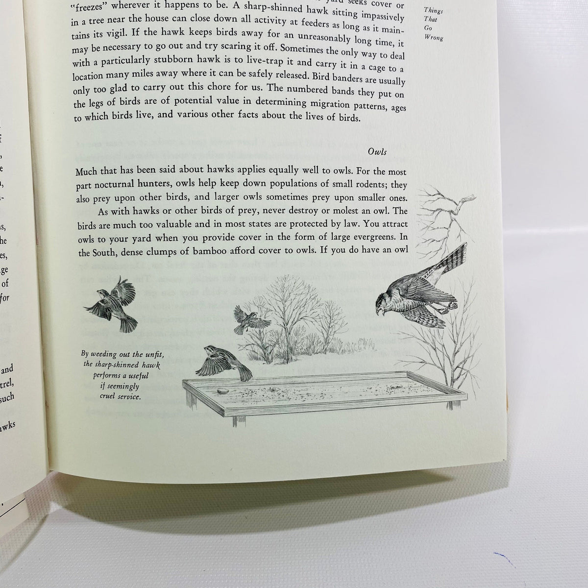 A Complete Guide to Bird Feeding by John Dennis 1975 Vintage Book