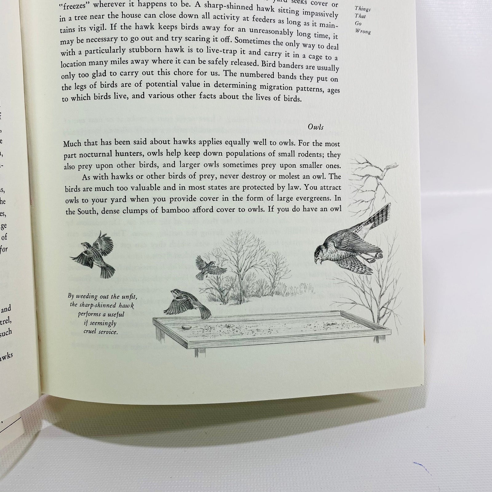 A Complete Guide to Bird Feeding by John Dennis 1975 Vintage Book
