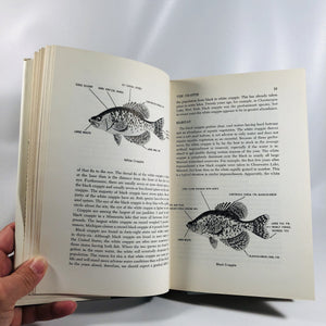 America's Favorite Fishing A Complete Guide to Angling for Panfish by F. Philip Rice Outdoor Life 1964 Vintage Book