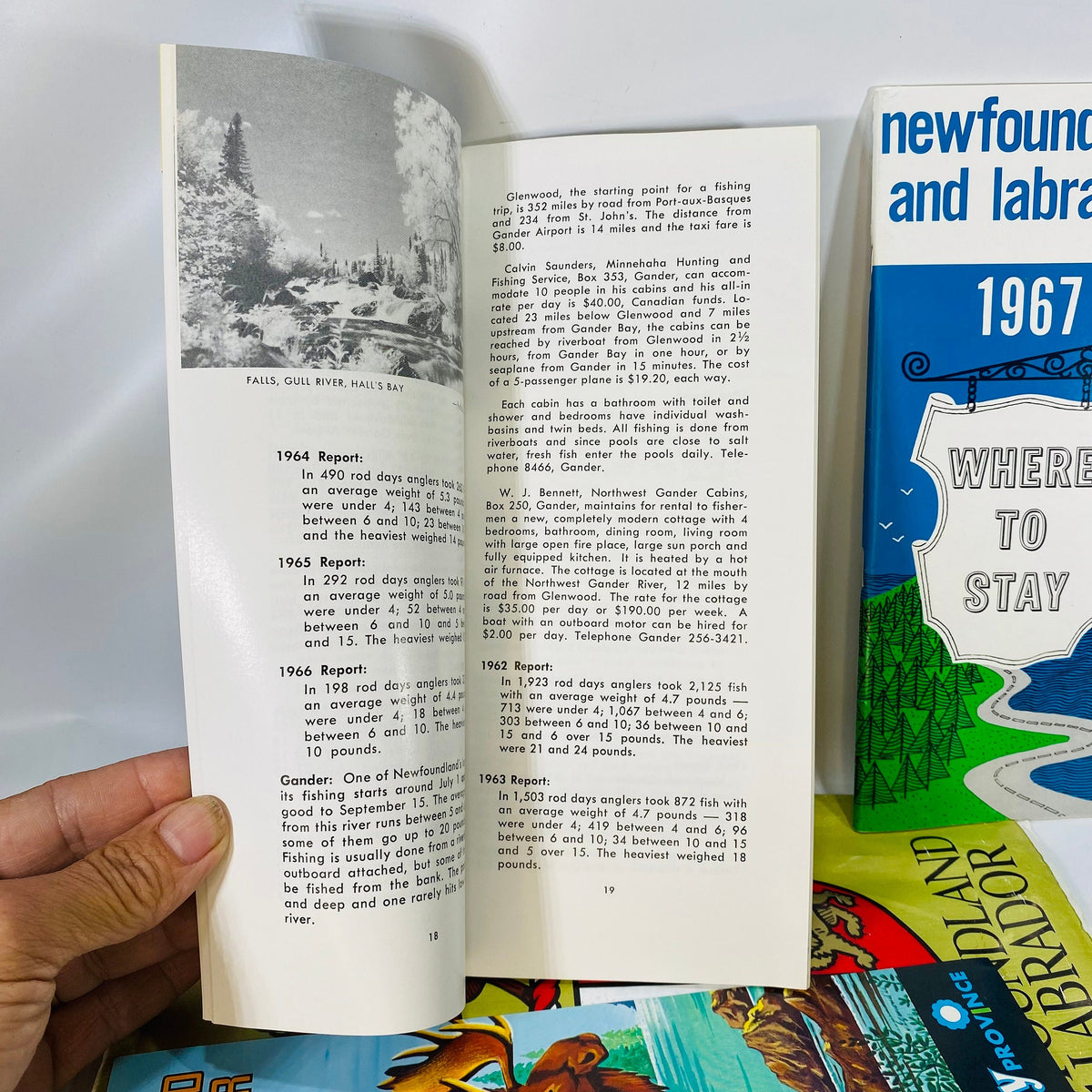 Vintage Newfoundland and Labrador Canada Vacation Planning Pack from 1966-67 Maps & Fishing Guides Vintage Book