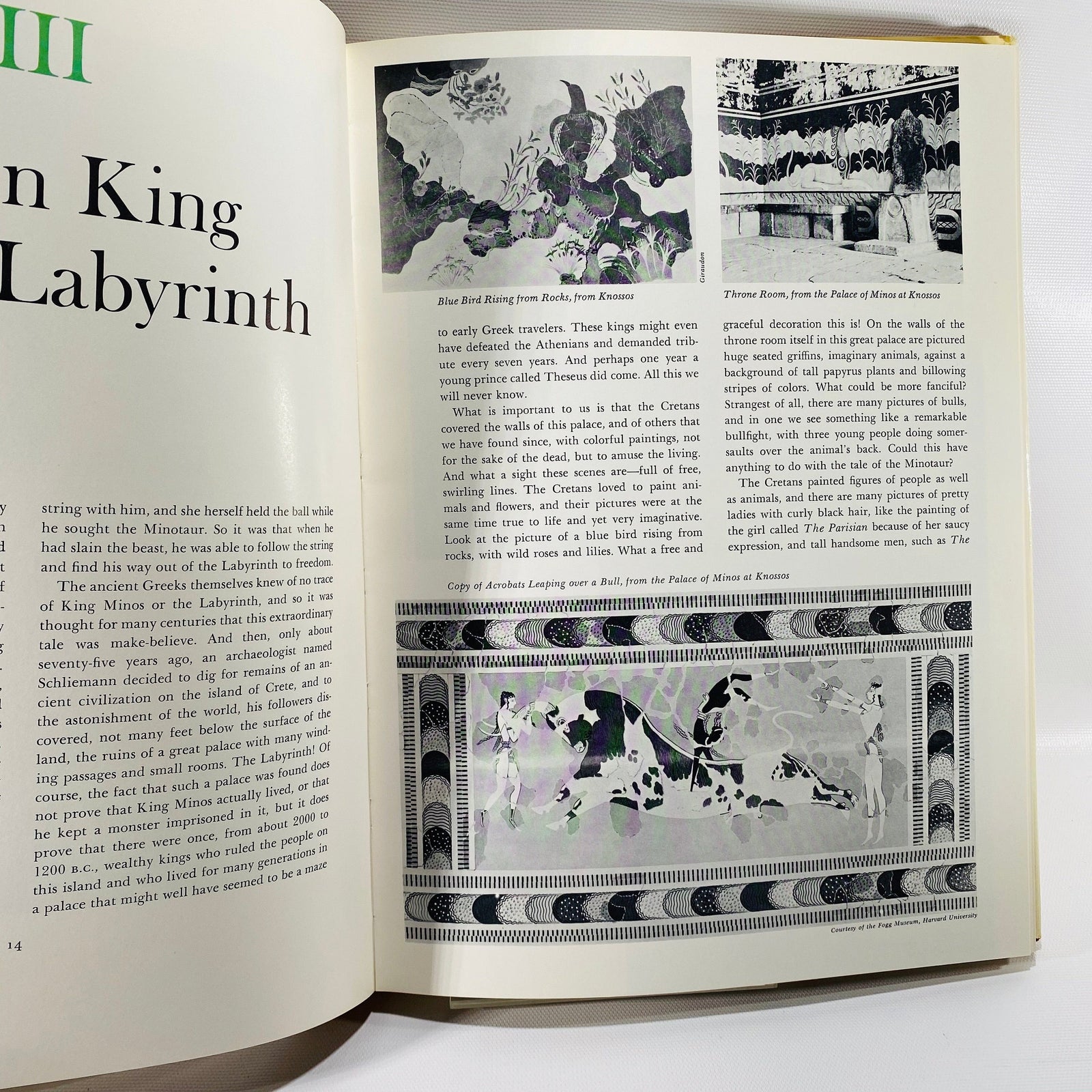 The Pantheon Story of Art for Young People by Ariane Ruskin 1946