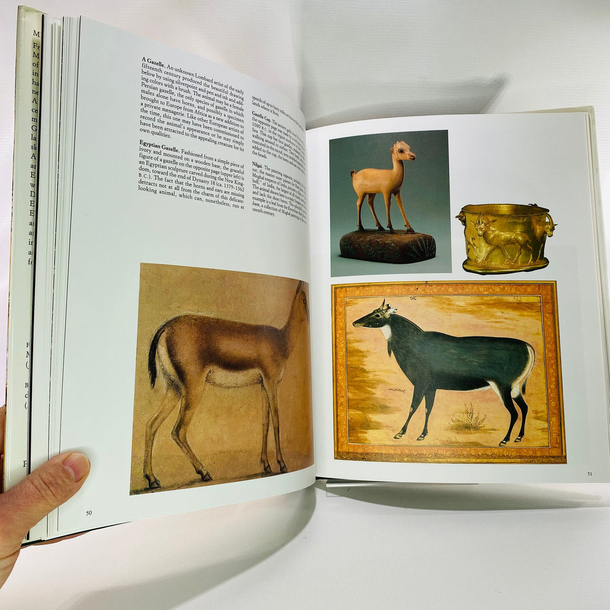 Metropolitan Zoo by Joseph Bell 1985 Harry Abrams Inc