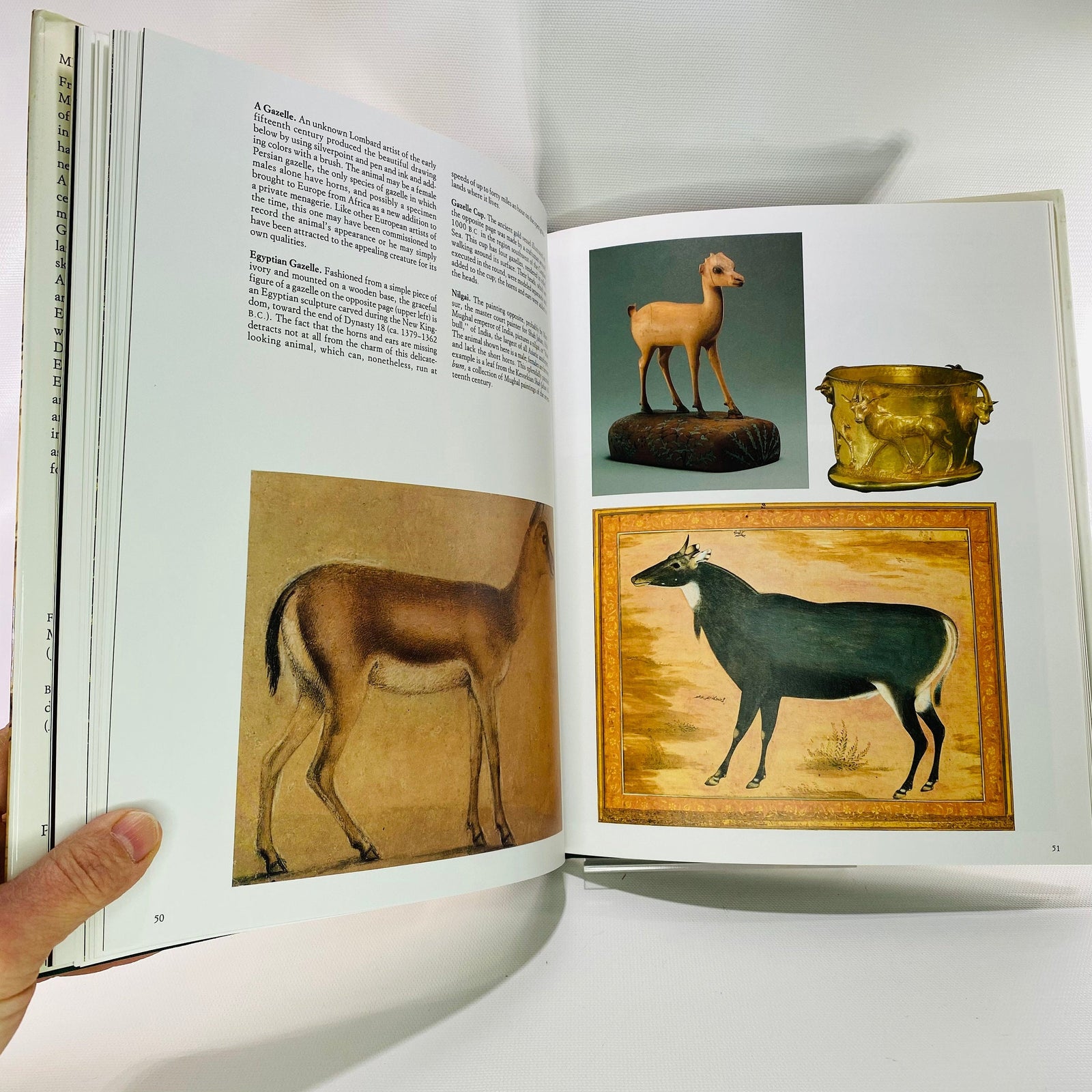 Metropolitan Zoo by Joseph Bell 1985 Harry Abrams Inc
