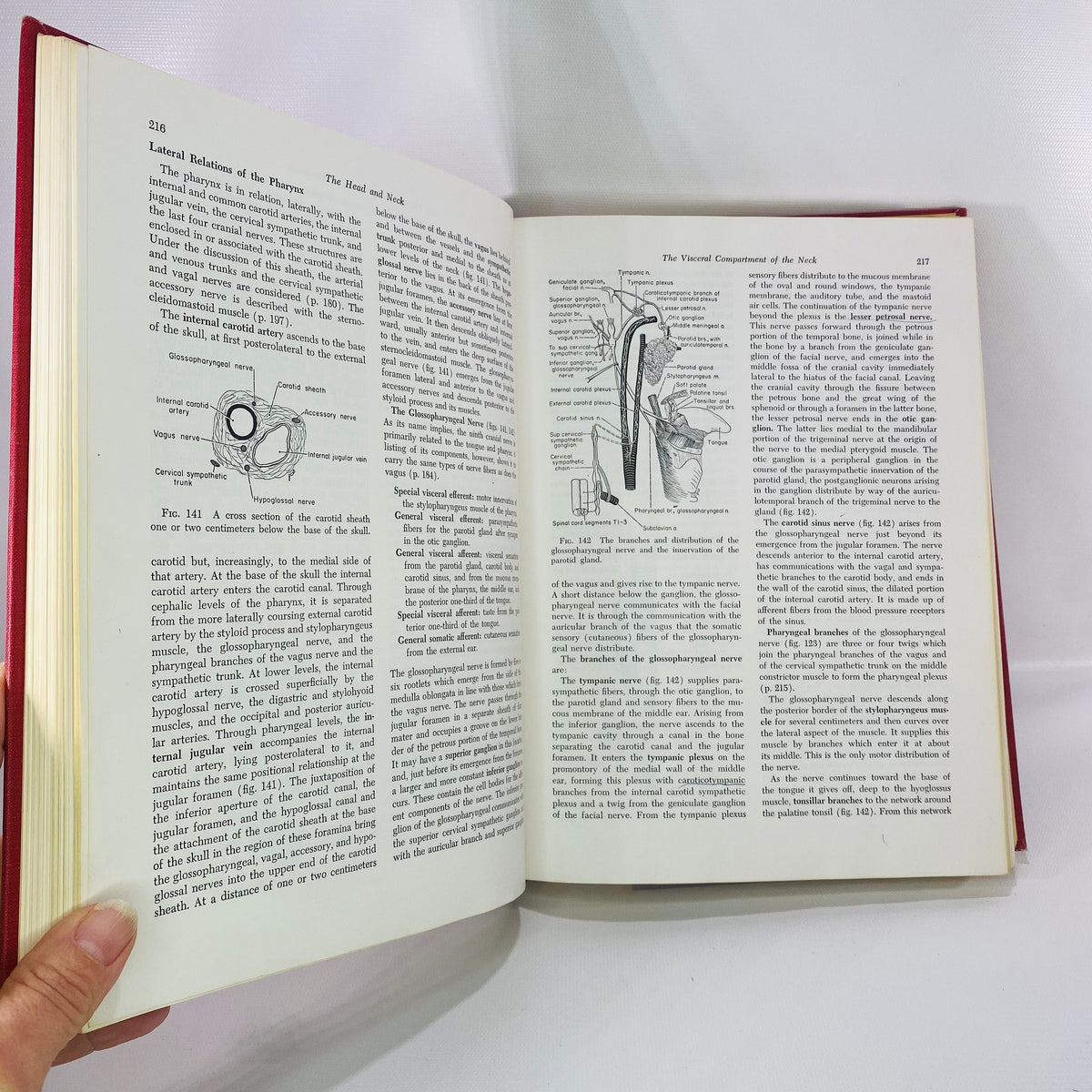Essentials of Human Anatomy by Russell Woodburne 1957 Oxford University Press Vintage Book