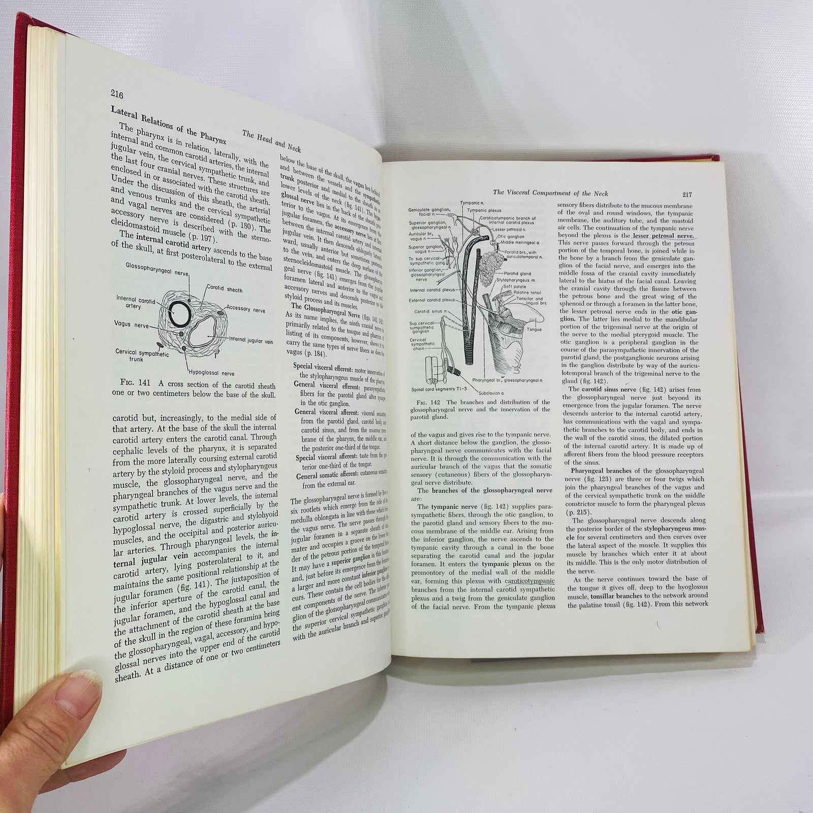 Essentials of Human Anatomy by Russell Woodburne 1957 Oxford University Press Vintage Book