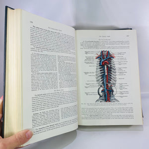 Morris The Human Anatomy A Complete Systematic Treatise edited by J. Parsons Schaeffer 1953 Blackstone Company Vintage Book