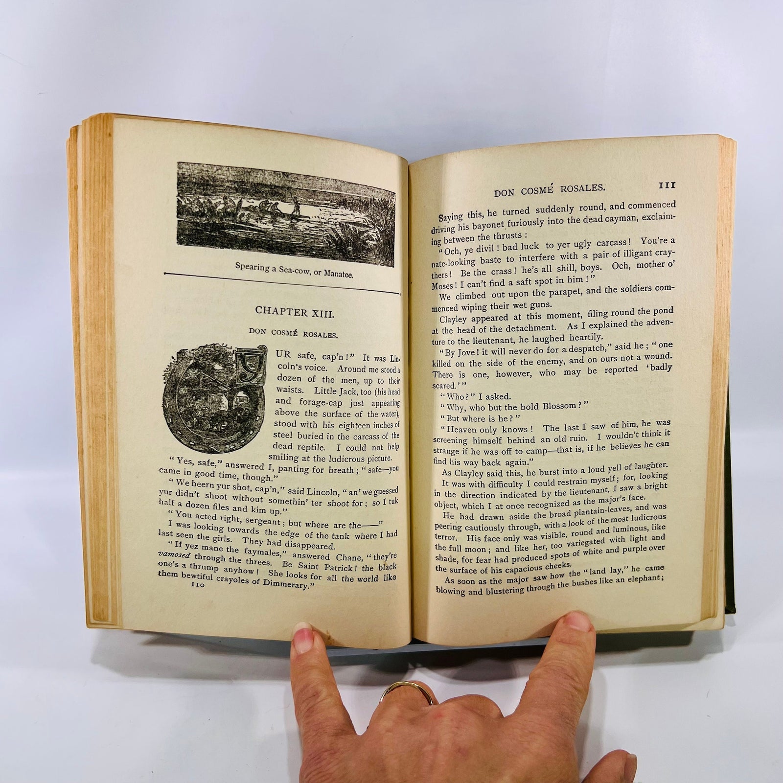 The Rifle Rangers by Captain Mayne Reid M A Donohue & Co Vintage Book